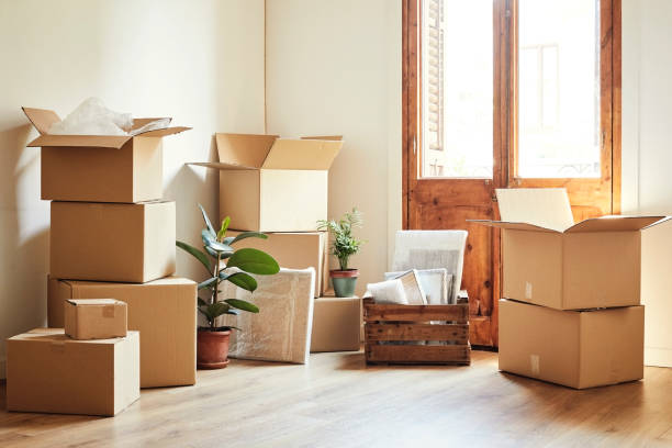 Demo Packers & Movers